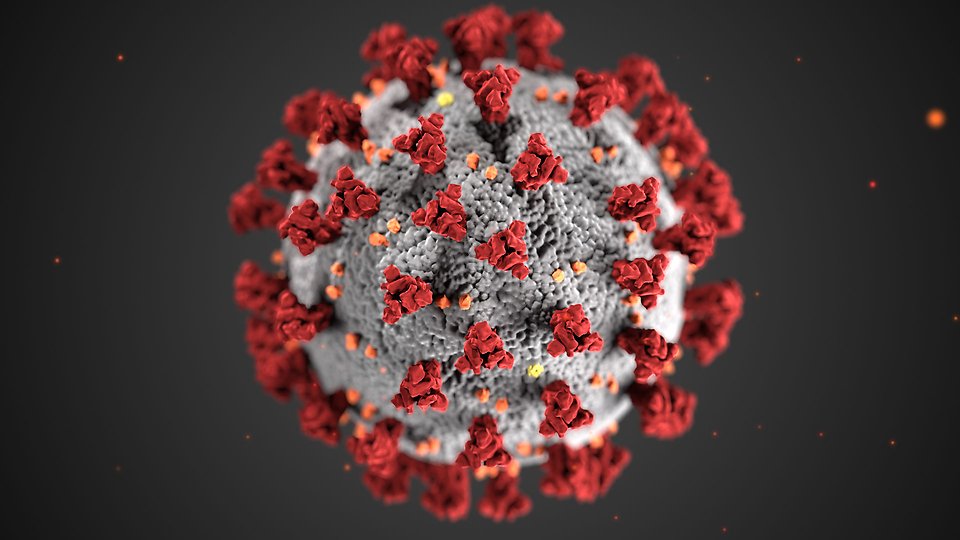 Bild på coronavirus